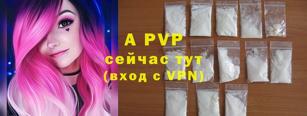 apvp Инсар