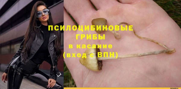 мяу мяу кристалл Иннополис