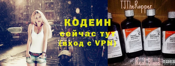apvp Инсар
