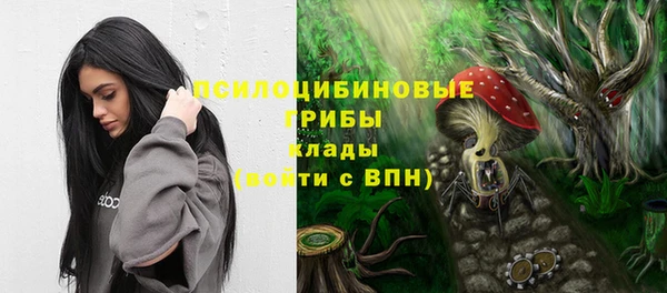 apvp Инсар