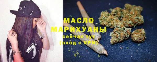 apvp Инсар