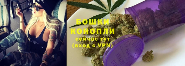 apvp Инсар