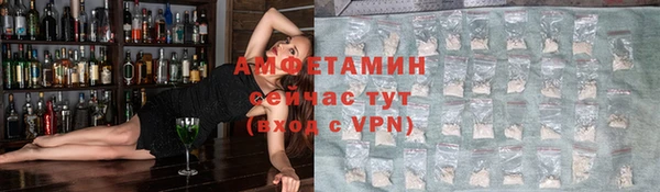 стафф Каменногорск