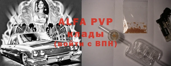 apvp Инсар