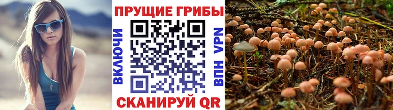 Псилоцибиновые грибы Magic Shrooms  Купить  Ейск 
